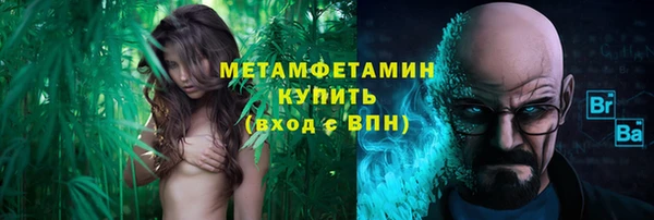 трава Медвежьегорск