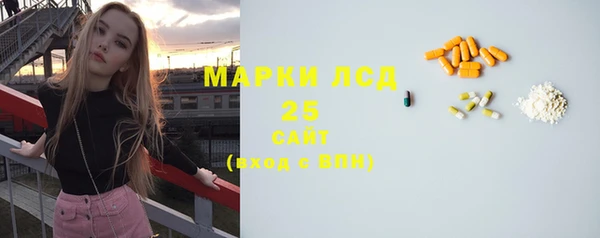 трава Медвежьегорск